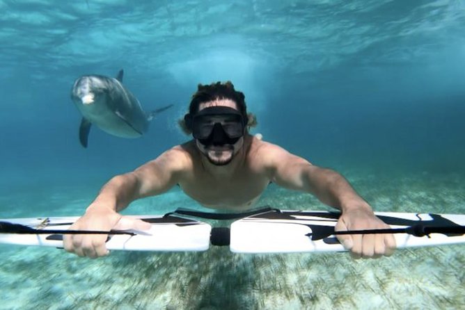 Swim with dolphin By Private Speed Boat and Sub wing Game - Hurghada - Who will enjoy this Hurghada outing