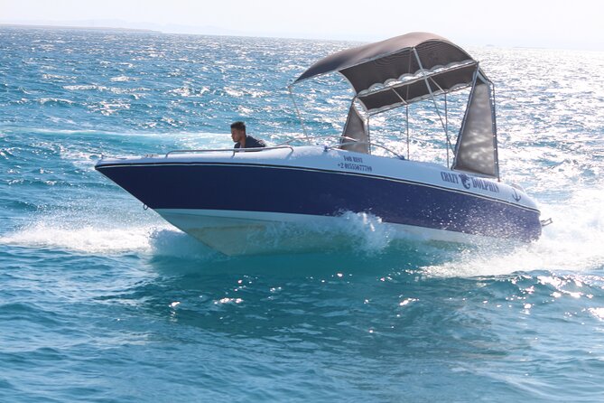 Swim with dolphin By Private Speed Boat and Sub wing Game - Hurghada - Reaching Dolphin House near Hurghada