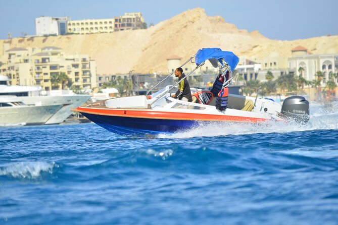 Swim With Dolphin By Semi PRIVATE Speedboat & Transfer - Hurghada - A semi-private speedboat instead of a large cruise