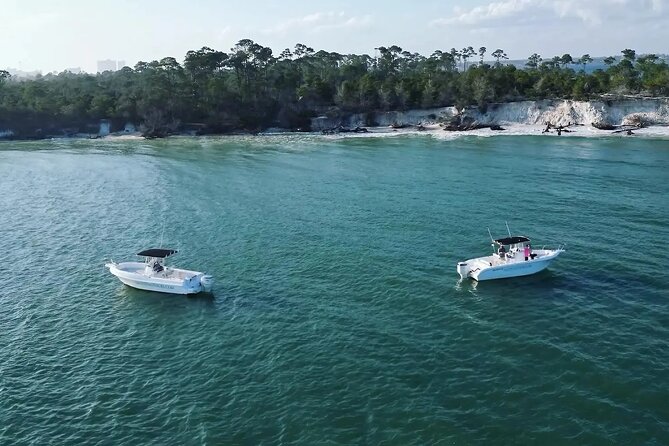 Swim with Dolphins And Snorkeling Group Tour - What the 15-minute boat ride sets up
