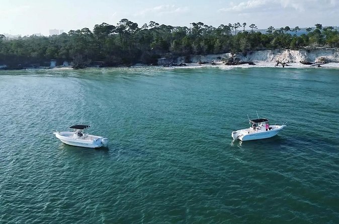 Swim with Dolphins And Snorkeling Group Tour - The equipment and what you need to pack