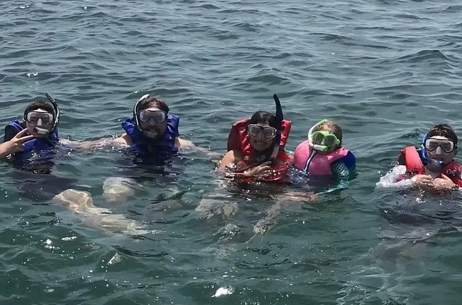 Swim with Dolphins And Snorkeling Group Tour - Why the captain matters so much