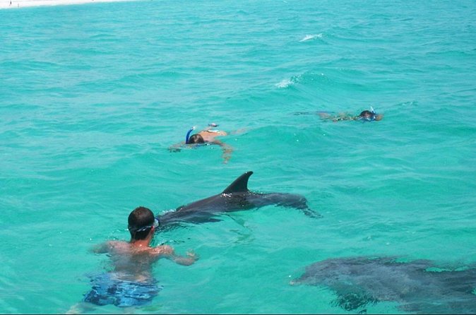 Swim with Dolphins And Snorkeling Group Tour - Who will enjoy this outing most?