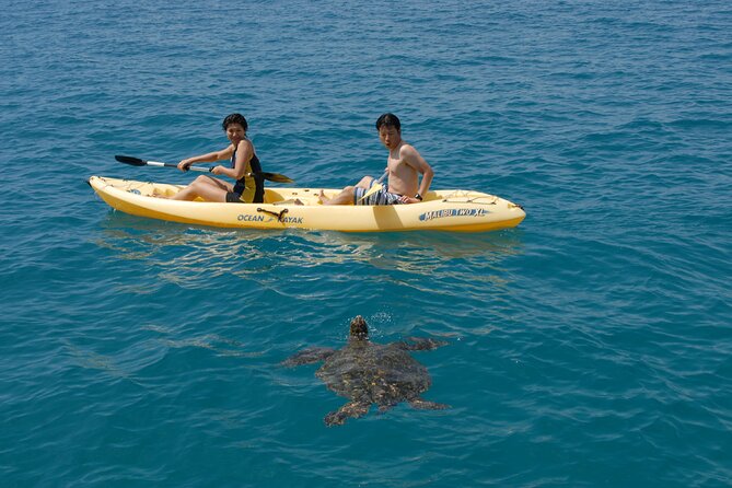 Swim with Dolphins Catamaran with Waterslide & Lunch on Oahu - Lunch on the way to Makaha