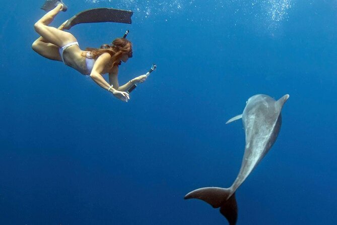 Swim with Dolphins Catamaran with Waterslide & Lunch on Oahu - The catamaran, comfort, and sea conditions