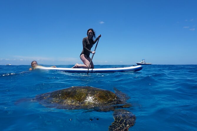 Swim with Dolphins Catamaran with Waterslide & Lunch on Oahu - Crew style and the feel of the day