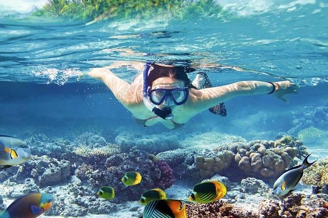Swim with Dolphins Sea Trip, Water Sport With Lunch and Transfer - Hurghada - How the day suits families