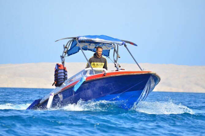 Swim with Dolphins Semi Private Speedboat Sea Tour - Hurghada - Timing, comfort, and who should book