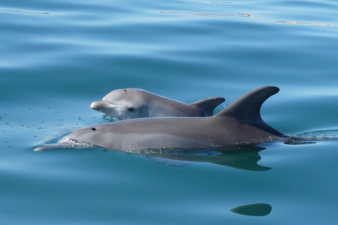 Swim With The Dolphins Experience in Bunbury Australia - Getting ready with wetsuit and snorkel gear