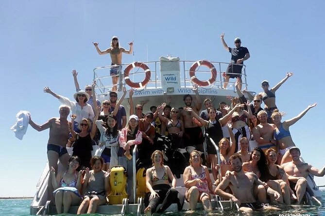 Swim with Wild Dolphins Day Tour - How much value do you get for $214.46?