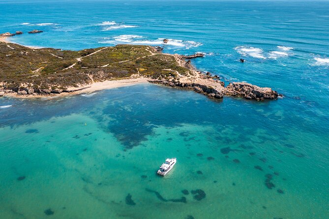 Swim with Wild Dolphins Day Tour - Safety, weather, and the limits of control