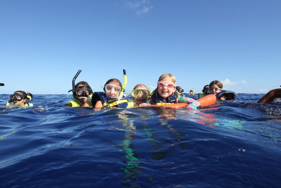 Swim with Wild Dolphins Oahu Speedboat Snorkeling Adventure! - Searching the west coast for dolphins