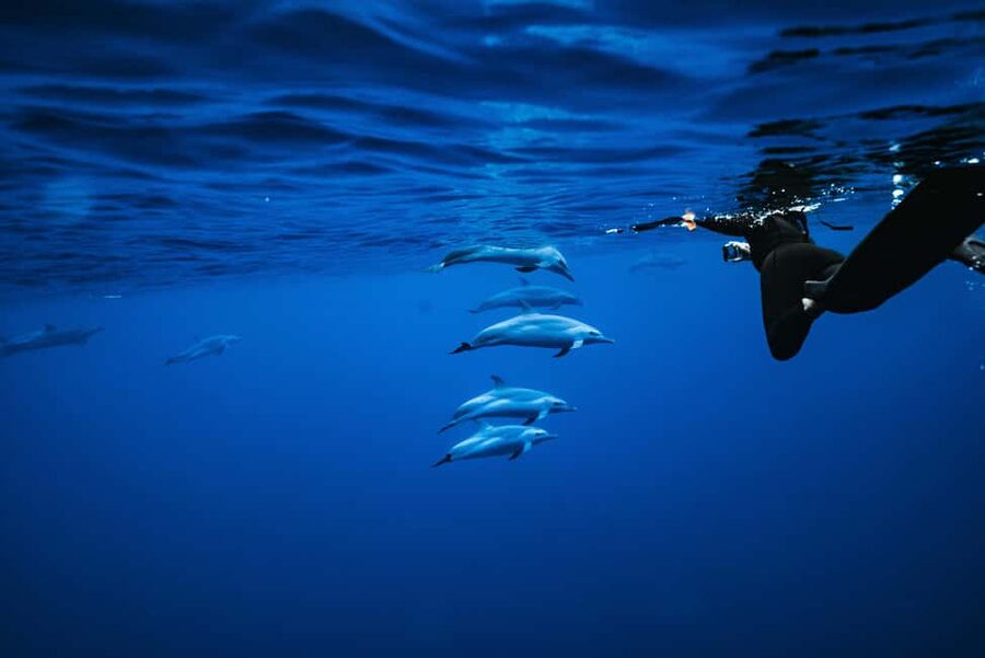 Swim with Wild Dolphins Oahu Speedboat Snorkeling Adventure! - Leaving Waianae aboard the Dolphin Warrior
