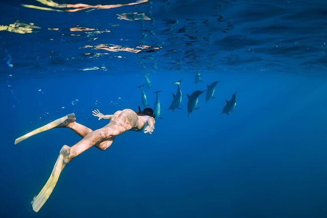 Swimming With Dolphin in Red Sea Adventure with Lunch - Hurgada - Two Snorkeling Stops, Two Different Rewards