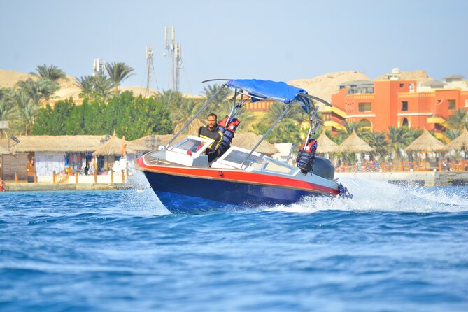 Swimming with Dolphins by Private Speed Boat - Hurghada - Why the private format affects the value