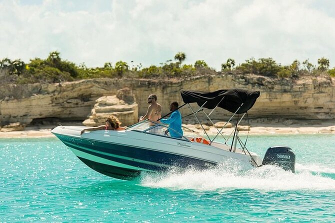 Swimming with Dolphins by Private Speed Boat - Hurghada - Food, equipment, and what you should bring