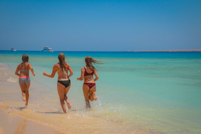 Swimming with Dolphins by Private Speed Boat - Hurghada - What the positive service feedback tells you