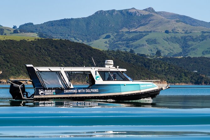 Swimming with Wild Dolphins in Akaroa - Price and what you receive for $128.06