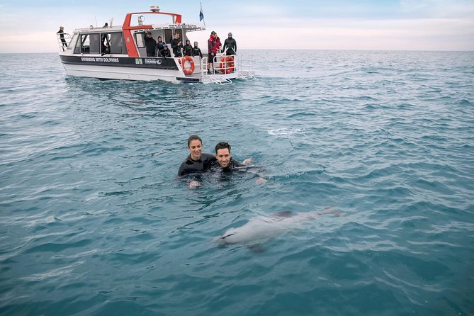 Swimming with Wild Dolphins in Akaroa - What the 3.5-hour trip includes