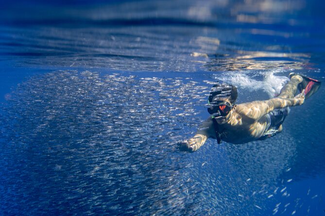 Swimming with Wild Dolphins Speedboat Adventure on Oahu - Coast views and possible whale sightings