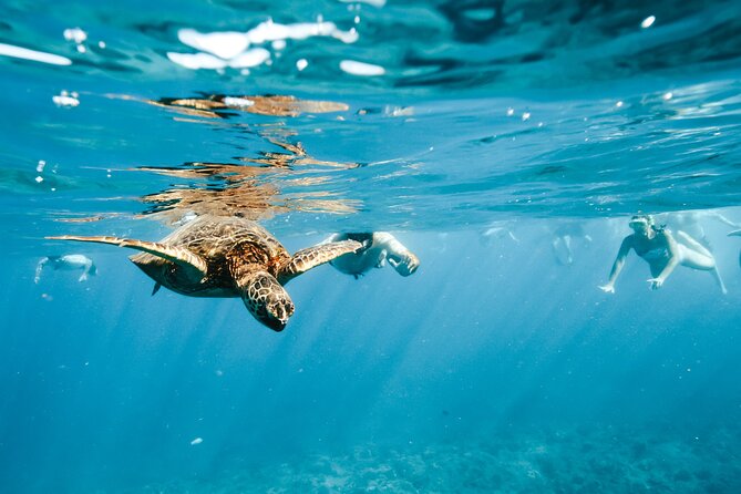 Swimming with Wild Dolphins Speedboat Adventure on Oahu - What lunch and onboard supplies are like