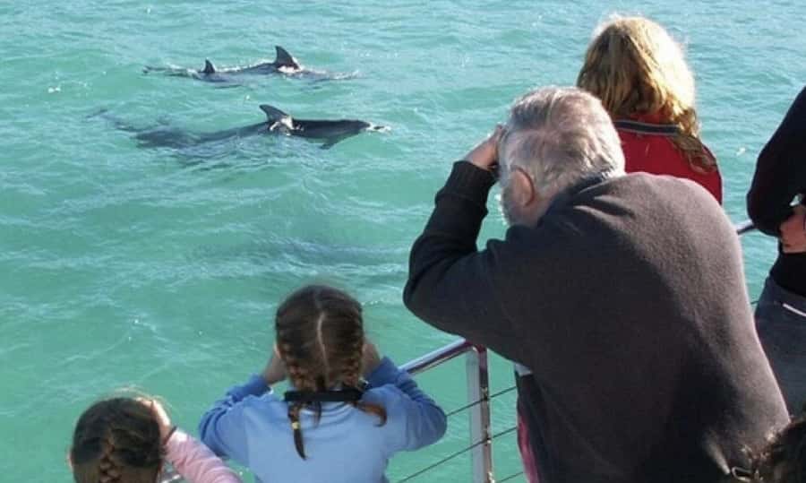 Sydney: Jervis Bay Day Trip with Dolphins, Roos & Beach Time - Key points to know before booking