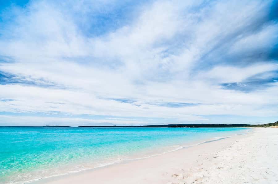 Sydney: Jervis Bay Day Trip with Dolphins, Roos & Beach Time - Huskisson gives you one hour to eat
