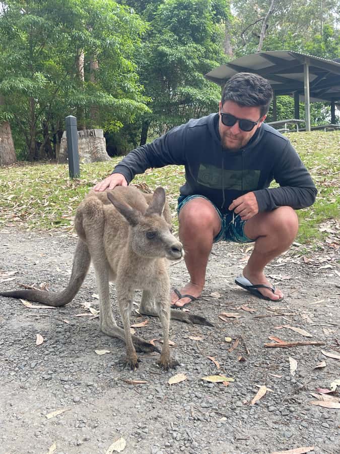 Sydney: Jervis Bay Day Trip with Dolphins, Roos & Beach Time - Hyams Beach and the White Sands Trail