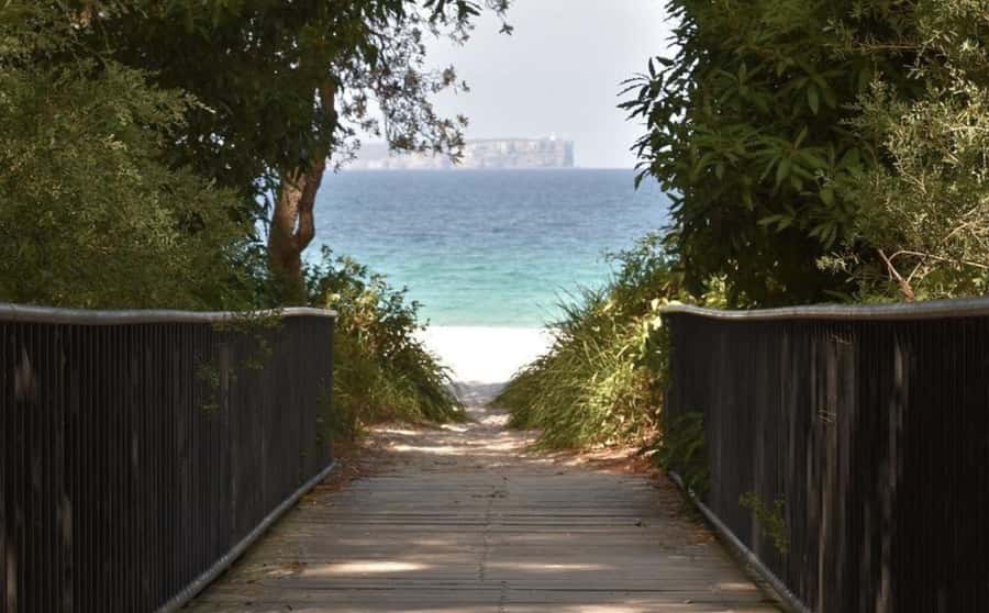 Sydney: Jervis Bay Day Trip with Dolphins, Roos & Beach Time - Cave Beach and wild kangaroos