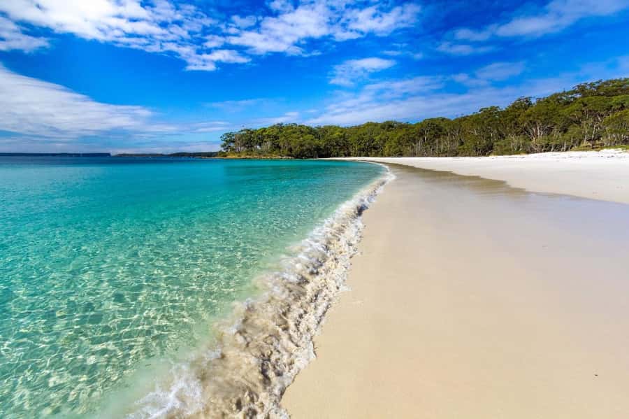Sydney: Jervis Bay Day Trip with Dolphins, Roos & Beach Time - The guides shape the whole experience