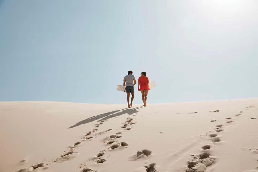 Sydney: Port Stephens Dolphin Watching & Sand Dunes Day Tour - From Sydney to Port Stephens in one long day