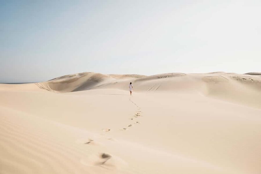 Sydney: Port Stephens Dolphin Watching & Sand Dunes Day Tour - Free time in Nelson Bay before the boat