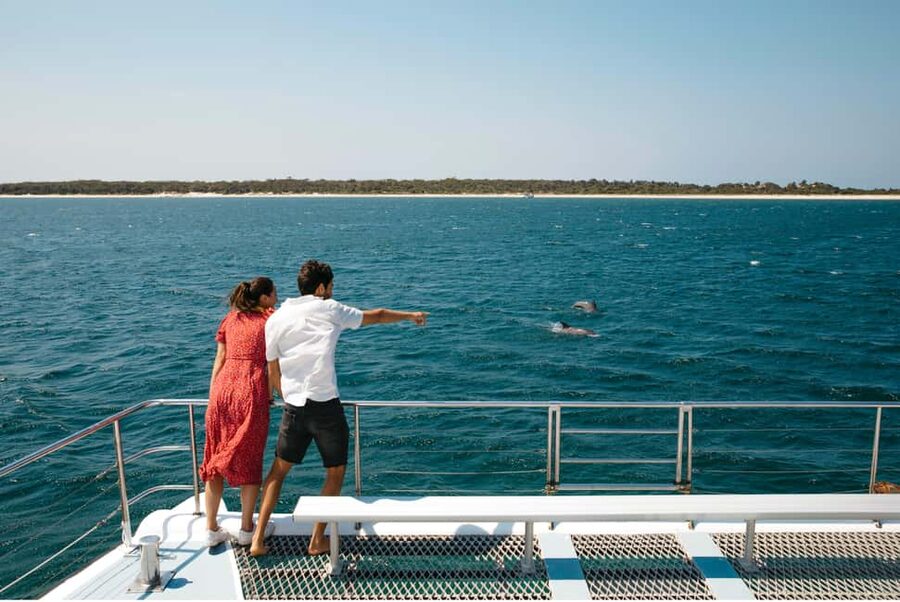 Sydney: Port Stephens Dolphin Watching & Sand Dunes Day Tour - Searching for bottlenose dolphins in the bay