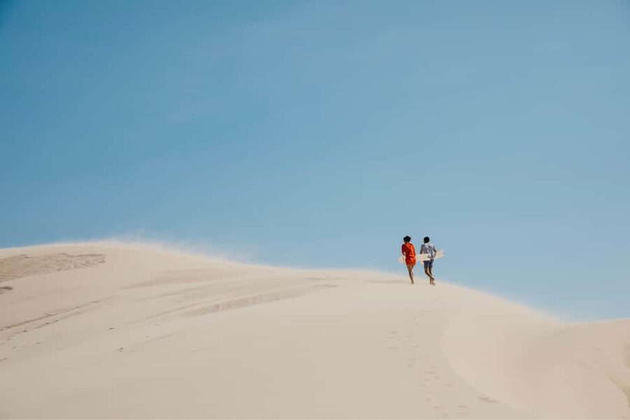 Sydney: Port Stephens Dolphin Watching & Sand Dunes Day Tour - A friendly guide and a small-group feel