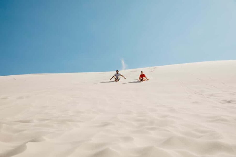 Sydney: Port Stephens Dolphin Watching & Sand Dunes Day Tour - Small details that make the day easier