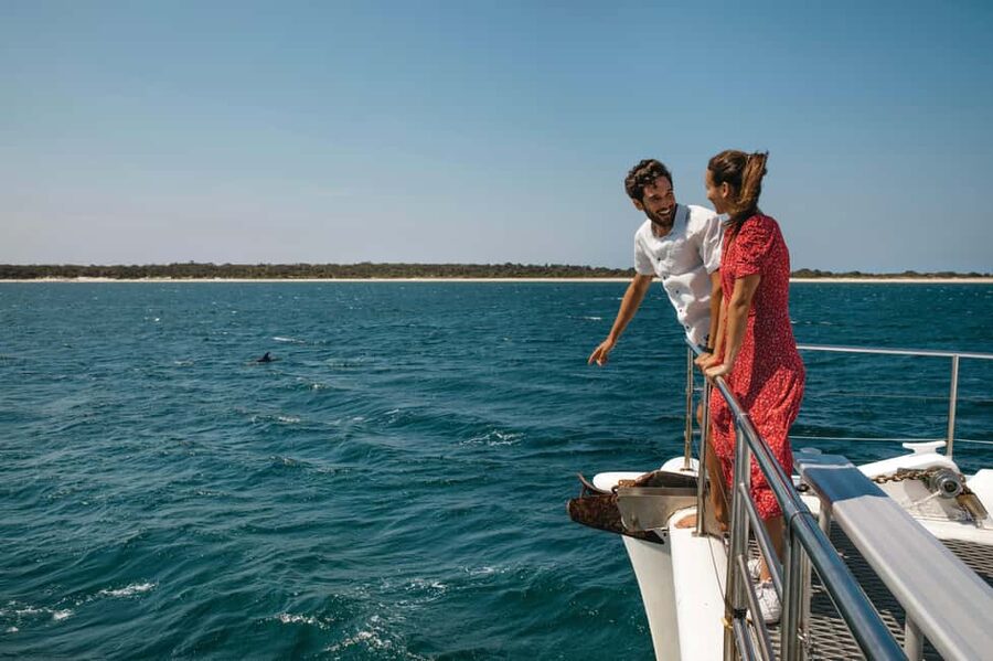 Sydney: Port Stephens Dolphin Watching & Sand Dunes Day Tour - Stockton Beach and the great wall of sand