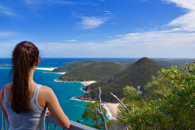 Sydney: Port Stephens Sandboarding, Dunes & Dolphin Cruise option - The long ride north from Sydney
