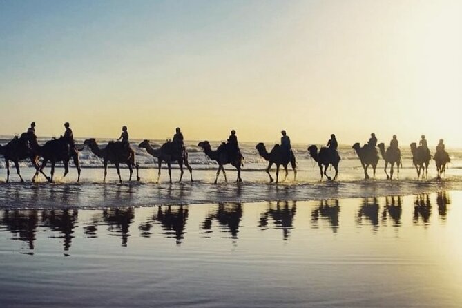 Sydney: Port Stephens Sandboarding, Dunes & Dolphin Cruise option - Choose dolphins or Mount Tomaree