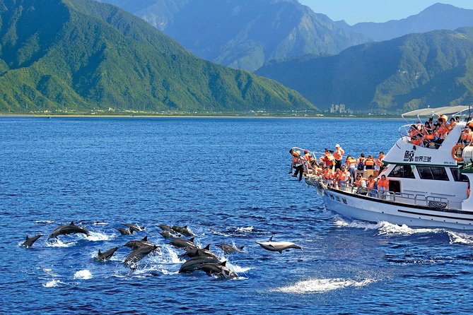 Taiwan Hualien Whale Watching Dolphin - Weather and Sea Conditions Matter
