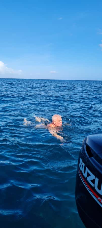Tamarin: Dolphin Snorkel, CrystalRock, ile o Benitiers Lunch - Crystal Rock and the open-water scenery
