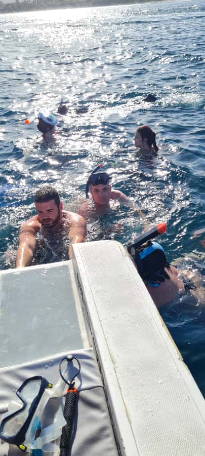 Tamarin: Dolphin Snorkel, CrystalRock, ile o Benitiers Lunch - Group atmosphere and language