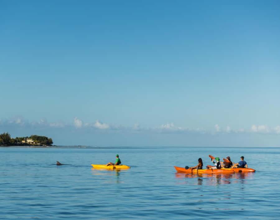 Tamarin: Guided Kayak Tour with Dolphins - Sunrise over Tamarin Bay