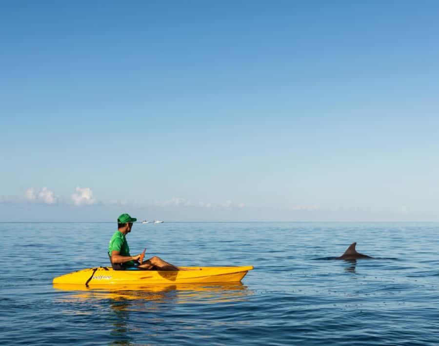 Tamarin: Guided Kayak Tour with Dolphins - Watching dolphins without chasing them