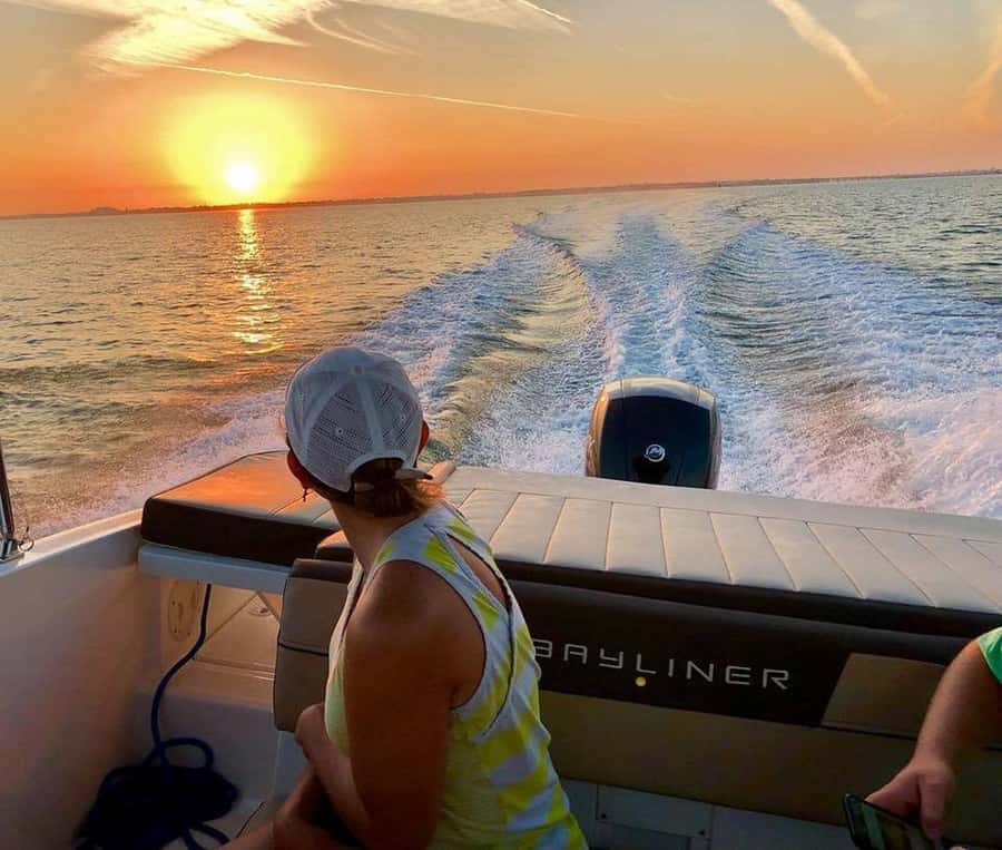 Tampa Bay: Private Sunrise Dolphin & Island Cruise - Dolphins, birds, and the value of going early