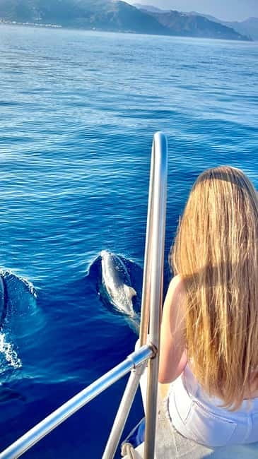 Taormina: Dolphin Tour and Sunset Aperitif Boat Tour - Key points to know before you book