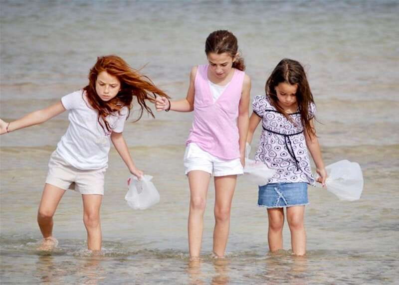 Tarpon Springs: Evening Dolphin Cruise - Key points to know before you go