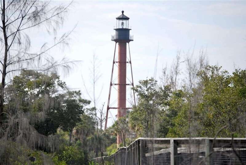 Tarpon Springs: Evening Dolphin Cruise - Leaving Tarpon Springs with a story to tell