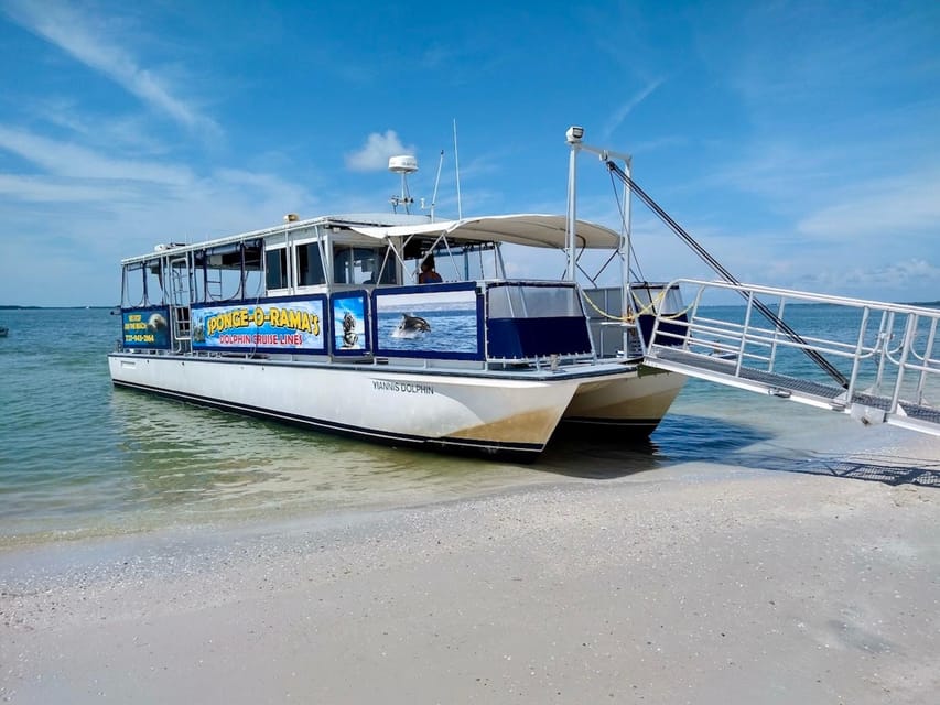 Tarpon Springs: Evening Dolphin Cruise - What the $28 price includes