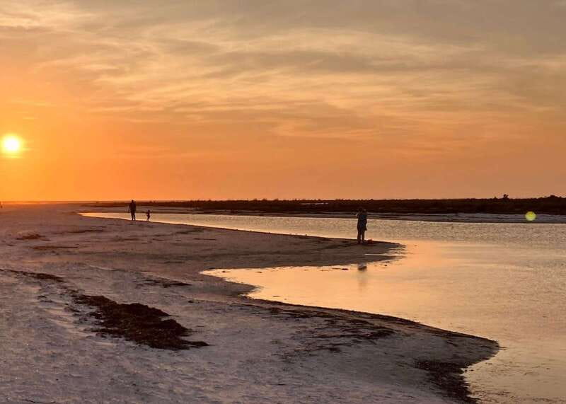 Tarpon Springs: Evening Dolphin Cruise - My practical verdict