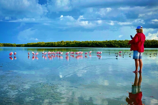 Ten Thousand Islands Eco/Dolphin Tour - Key points before you book